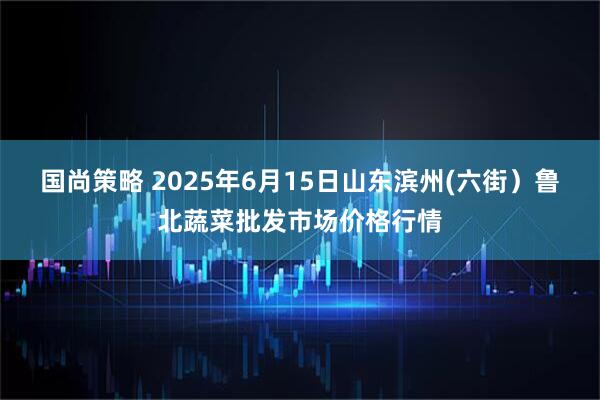 国尚策略 2025年6月15日山东滨州(六街）鲁北蔬菜批发市场价格行情